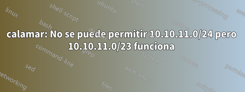 calamar: No se puede permitir 10.10.11.0/24 pero 10.10.11.0/23 funciona