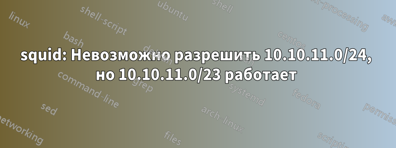 squid: Невозможно разрешить 10.10.11.0/24, но 10.10.11.0/23 работает