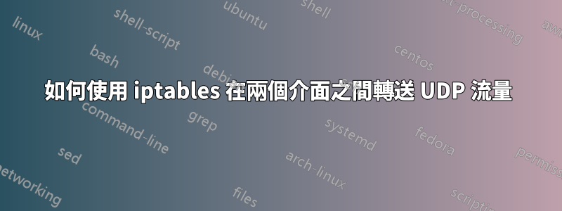 如何使用 iptables 在兩個介面之間轉送 UDP 流量