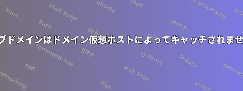 サブドメインはドメイン仮想ホストによってキャッチされません