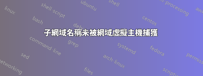 子網域名稱未被網域虛擬主機捕獲