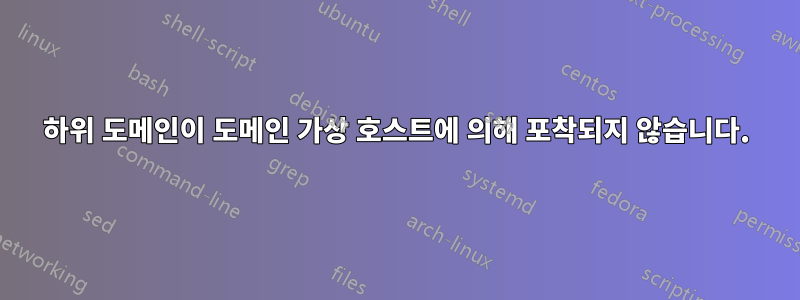 하위 도메인이 도메인 가상 호스트에 의해 포착되지 않습니다.