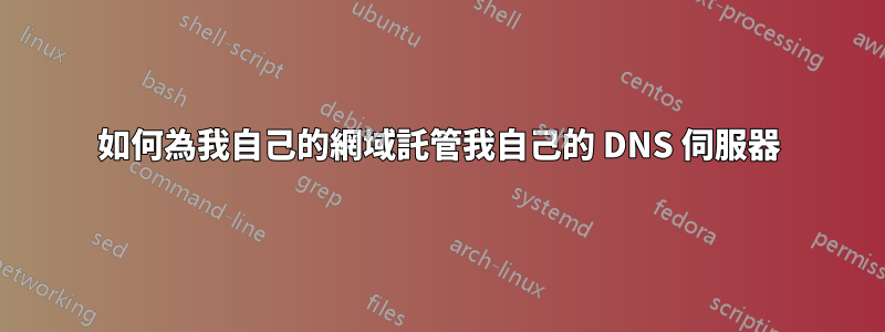 如何為我自己的網域託管我自己的 DNS 伺服器