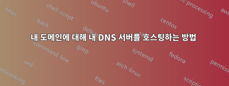 내 도메인에 대해 내 DNS 서버를 호스팅하는 방법