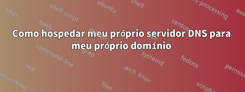 Como hospedar meu próprio servidor DNS para meu próprio domínio