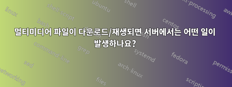 멀티미디어 파일이 다운로드/재생되면 서버에서는 어떤 일이 발생하나요?