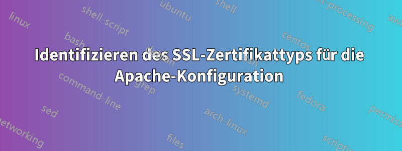 Identifizieren des SSL-Zertifikattyps für die Apache-Konfiguration