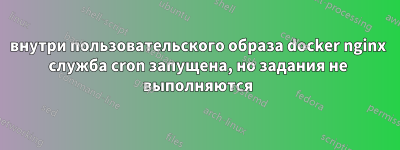 внутри пользовательского образа docker nginx служба cron запущена, но задания не выполняются