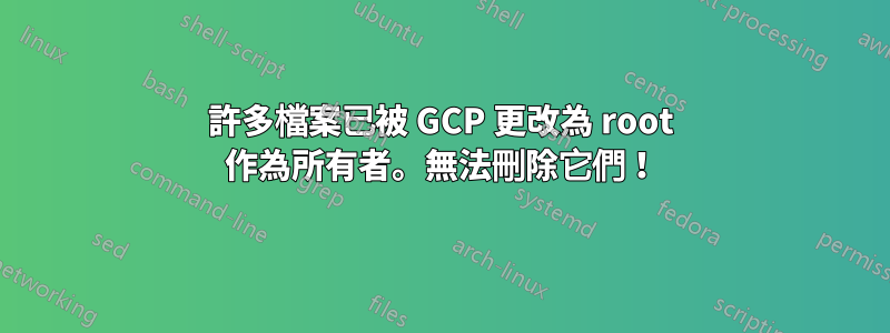 許多檔案已被 GCP 更改為 root 作為所有者。無法刪除它們！