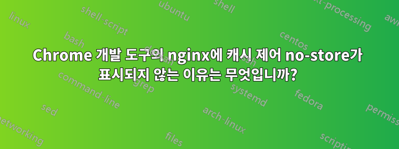 Chrome 개발 도구의 nginx에 캐시 제어 no-store가 표시되지 않는 이유는 무엇입니까?