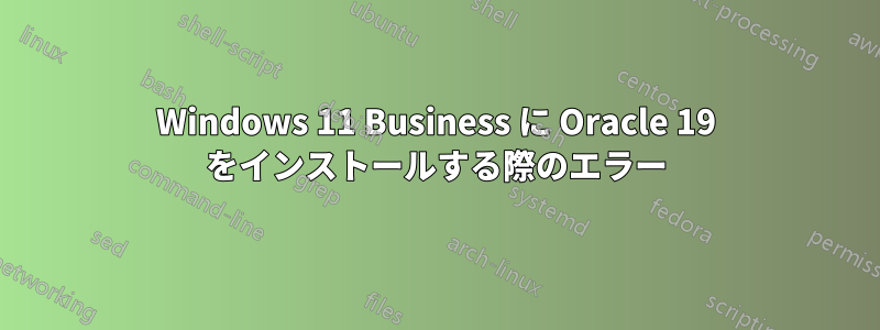 Windows 11 Business に Oracle 19 をインストールする際のエラー