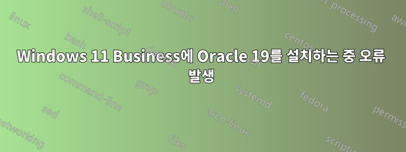 Windows 11 Business에 Oracle 19를 설치하는 중 오류 발생