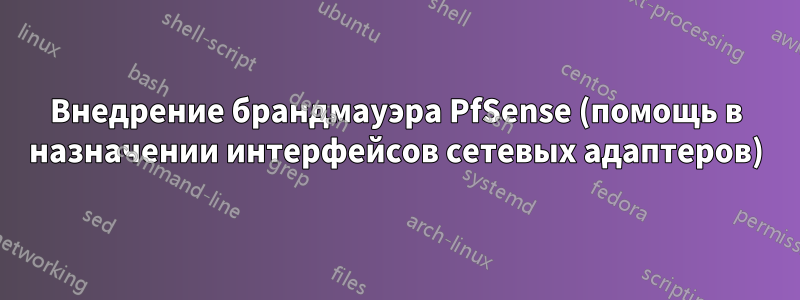 Внедрение брандмауэра PfSense (помощь в назначении интерфейсов сетевых адаптеров)