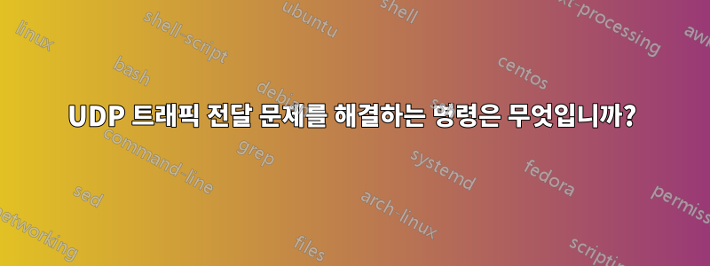 UDP 트래픽 전달 문제를 해결하는 명령은 무엇입니까?