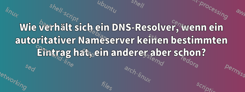 Wie verhält sich ein DNS-Resolver, wenn ein autoritativer Nameserver keinen bestimmten Eintrag hat, ein anderer aber schon?