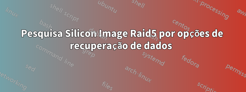 Pesquisa Silicon Image Raid5 por opções de recuperação de dados 