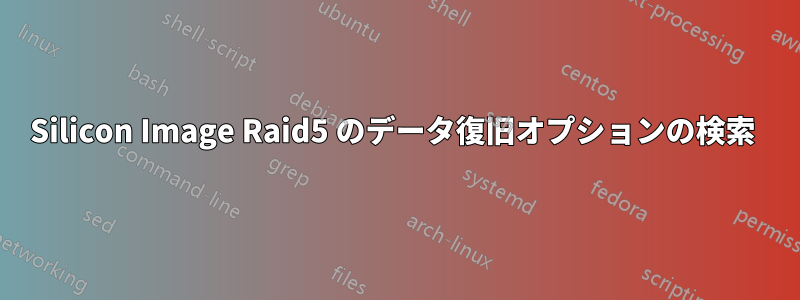 Silicon Image Raid5 のデータ復旧オプションの検索 