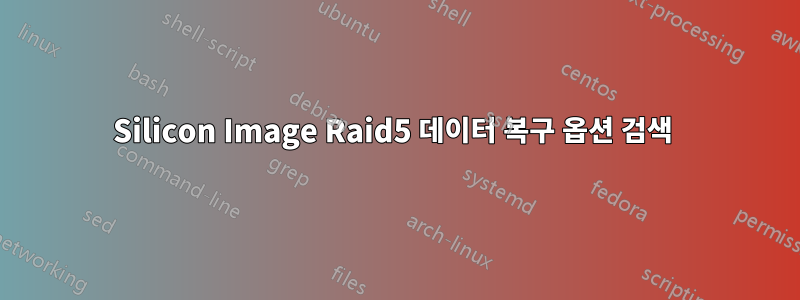 Silicon Image Raid5 데이터 복구 옵션 검색 