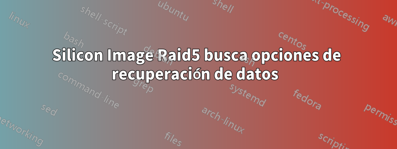 Silicon Image Raid5 busca opciones de recuperación de datos 