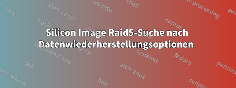 Silicon Image Raid5-Suche nach Datenwiederherstellungsoptionen 