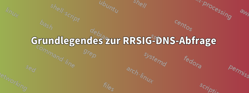 Grundlegendes zur RRSIG-DNS-Abfrage