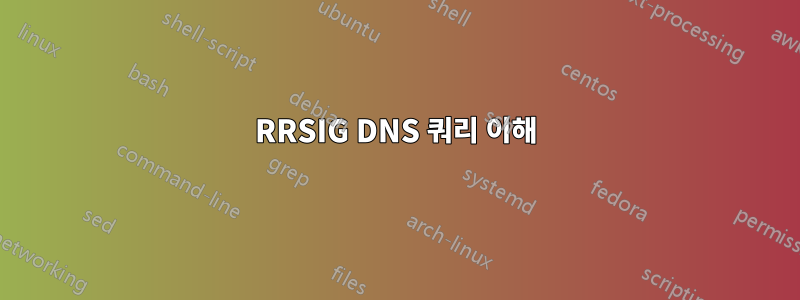 RRSIG DNS 쿼리 이해