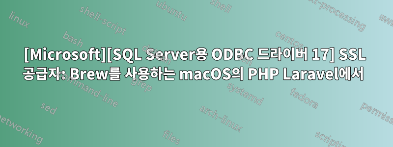 [Microsoft][SQL Server용 ODBC 드라이버 17] SSL 공급자: Brew를 사용하는 macOS의 PHP Laravel에서 