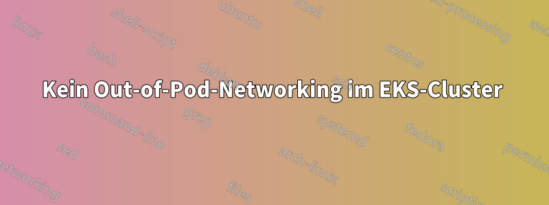 Kein Out-of-Pod-Networking im EKS-Cluster