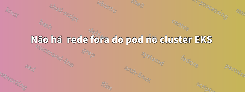 Não há rede fora do pod no cluster EKS