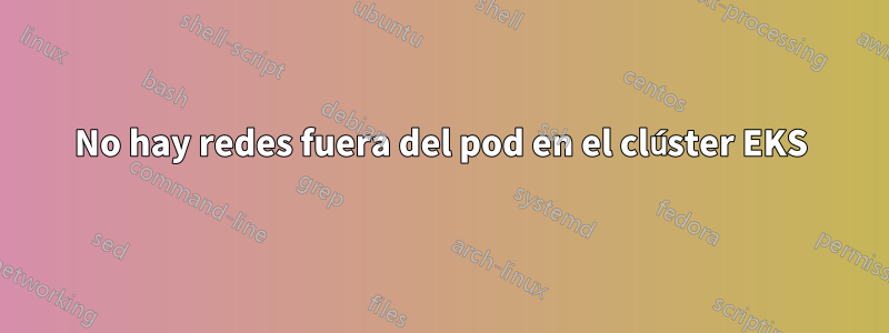 No hay redes fuera del pod en el clúster EKS