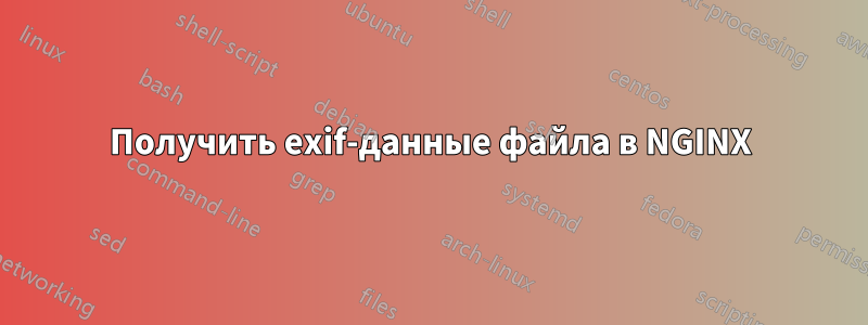 Получить exif-данные файла в NGINX