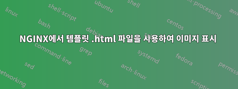 NGINX에서 템플릿 .html 파일을 사용하여 이미지 표시