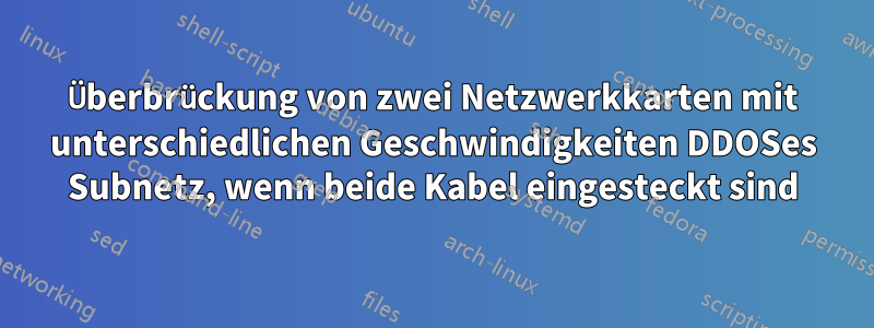 Überbrückung von zwei Netzwerkkarten mit unterschiedlichen Geschwindigkeiten DDOSes Subnetz, wenn beide Kabel eingesteckt sind