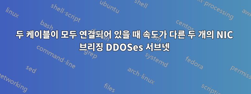 두 케이블이 모두 연결되어 있을 때 속도가 다른 두 개의 NIC 브리징 DDOSes 서브넷