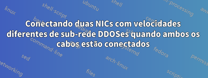 Conectando duas NICs com velocidades diferentes de sub-rede DDOSes quando ambos os cabos estão conectados