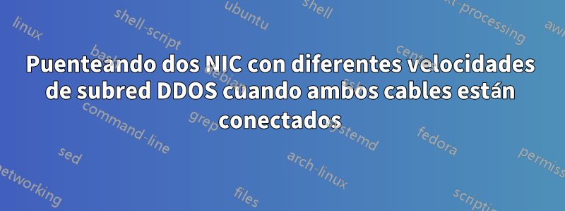 Puenteando dos NIC con diferentes velocidades de subred DDOS cuando ambos cables están conectados