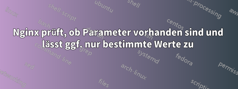 Nginx prüft, ob Parameter vorhanden sind und lässt ggf. nur bestimmte Werte zu