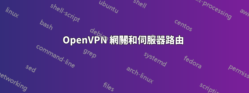 OpenVPN 網關和伺服器路由