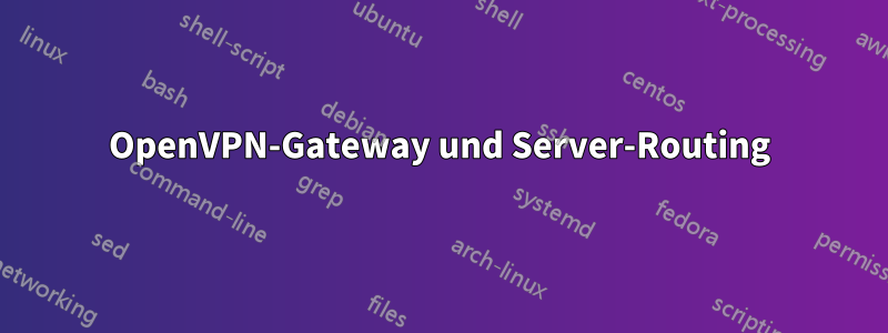 OpenVPN-Gateway und Server-Routing