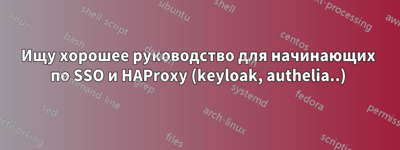 Ищу хорошее руководство для начинающих по SSO и HAProxy (keyloak, authelia..)