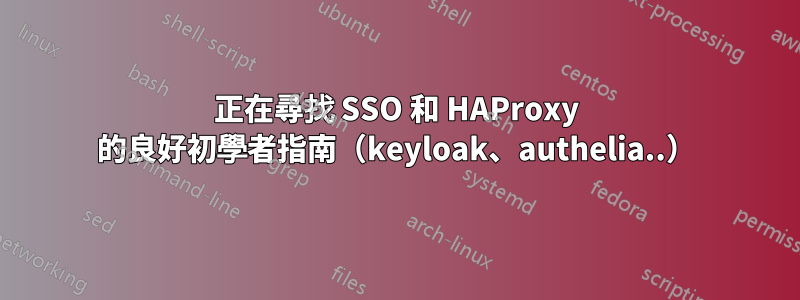 正在尋找 SSO 和 HAProxy 的良好初學者指南（keyloak、authelia..）