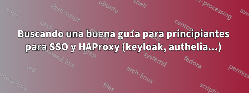 Buscando una buena guía para principiantes para SSO y HAProxy (keyloak, authelia...)