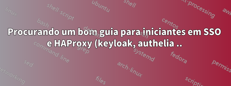 Procurando um bom guia para iniciantes em SSO e HAProxy (keyloak, authelia ..)