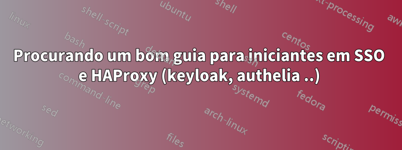 Procurando um bom guia para iniciantes em SSO e HAProxy (keyloak, authelia ..)