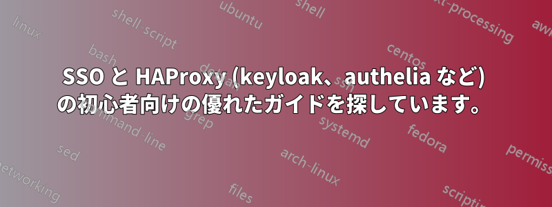 SSO と HAProxy (keyloak、authelia など) の初心者向けの優れたガイドを探しています。