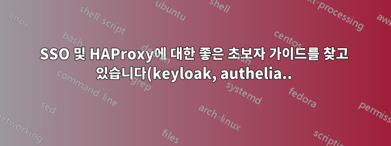 SSO 및 HAProxy에 대한 좋은 초보자 가이드를 찾고 있습니다(keyloak, authelia..)