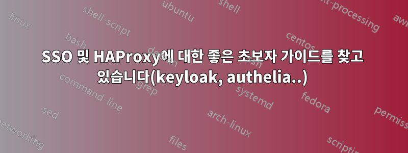 SSO 및 HAProxy에 대한 좋은 초보자 가이드를 찾고 있습니다(keyloak, authelia..)