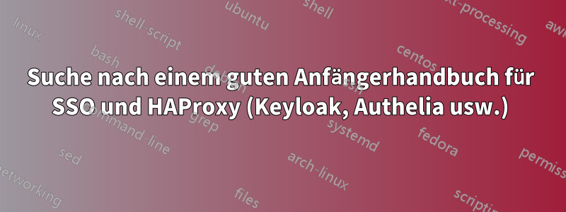 Suche nach einem guten Anfängerhandbuch für SSO und HAProxy (Keyloak, Authelia usw.)