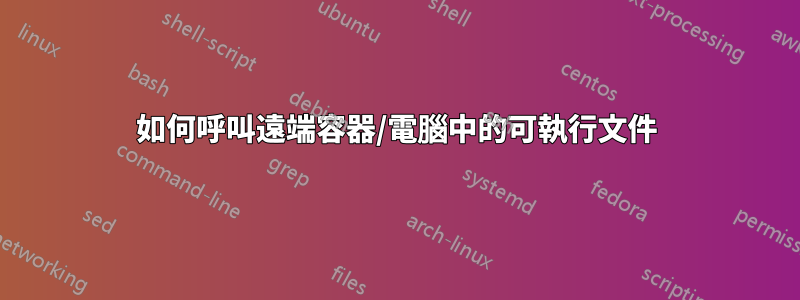 如何呼叫遠端容器/電腦中的可執行文件