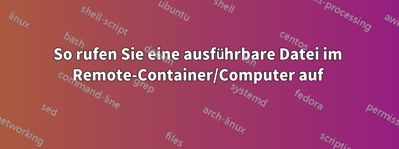 So rufen Sie eine ausführbare Datei im Remote-Container/Computer auf